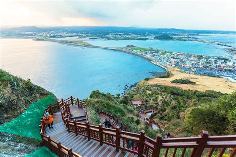 제주도 여행: 바람과 돌의 이야기, 그리고 시간을 초월한 여정