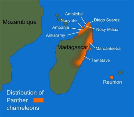 マダガスカル島 地図 - なぜカメレオンは地図を読むのが得意なのか？